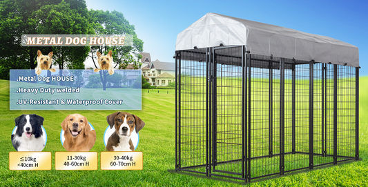 Ventilation and Airflow in Kennels