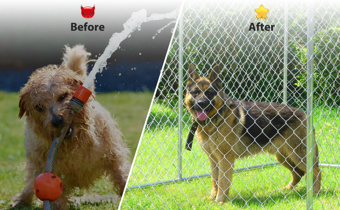 Why the Right HITTITE Outside Dog Kennel Matters