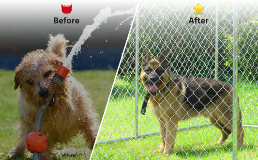 Why the Right HITTITE Outside Dog Kennel Matters