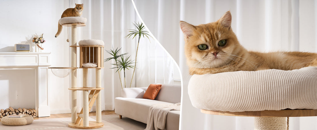 # HITTITE Solid Wood Cat Trees: Original Design Meets Premium Craftsmanship