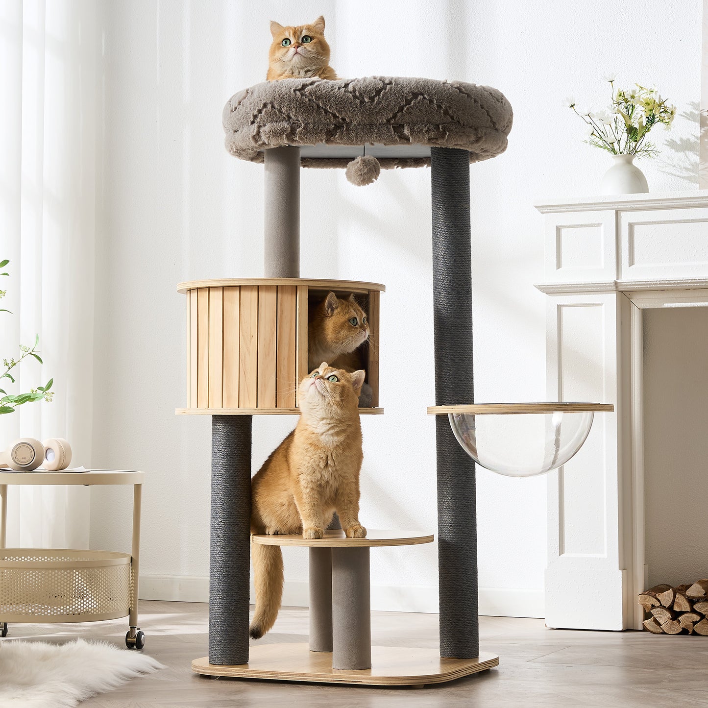 48" Modern Cat Tree for Indoor Cats with Scratching Posts, Multi-Level Wooden Cat Tower with Spacious Top Bed, Condo, Capsule Perch, Furniture-Style Cat Activity Center