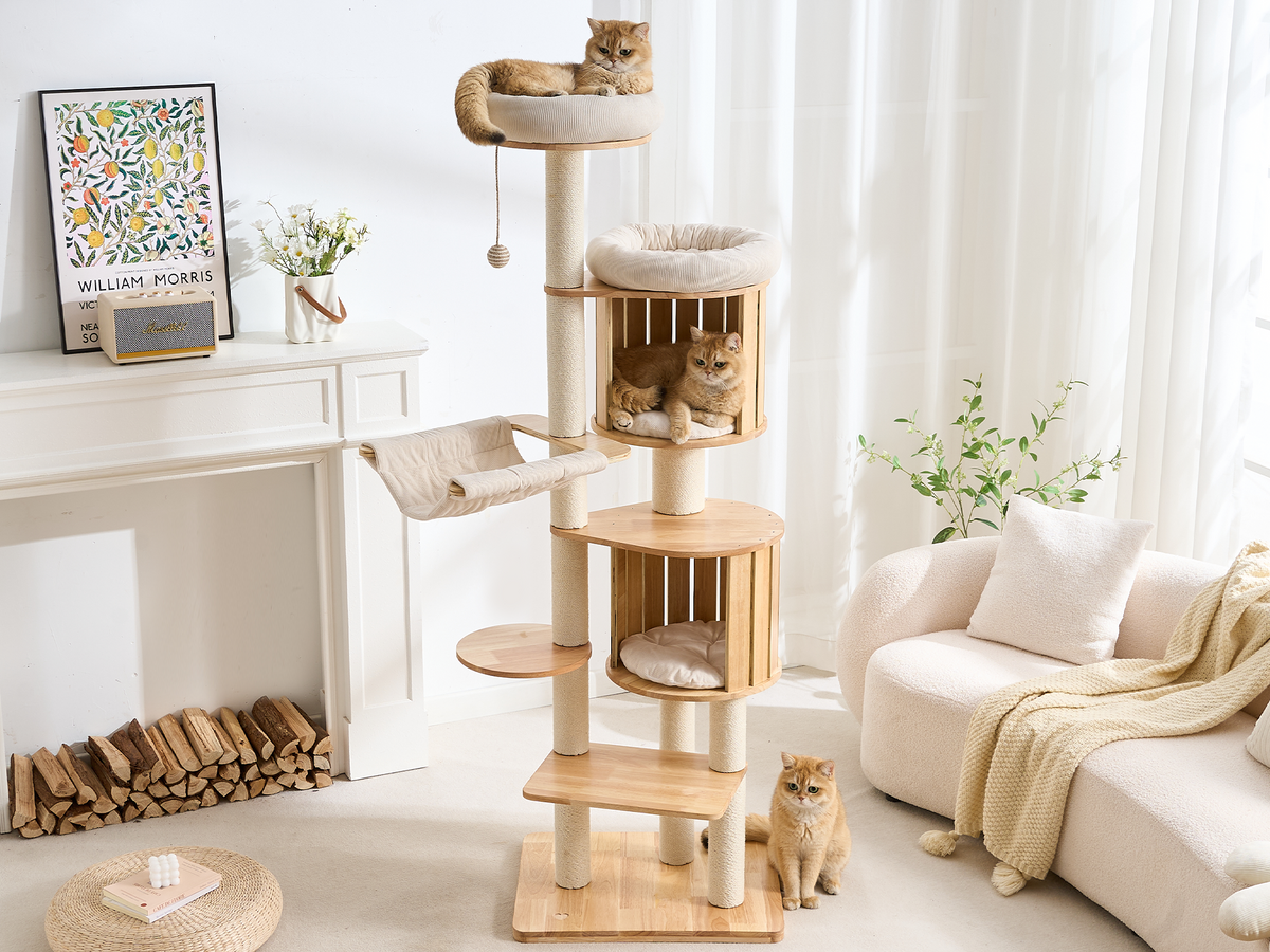 70" Modern Wood Cat Tree for Indoor Cats, Multi-Level Cat Tower with 2 Hidden Cat Caves, Hammock, Elevated Top Beds & Sisal Scratching Posts, Furniture-Style Cat Condo for Multi-Cat Homes