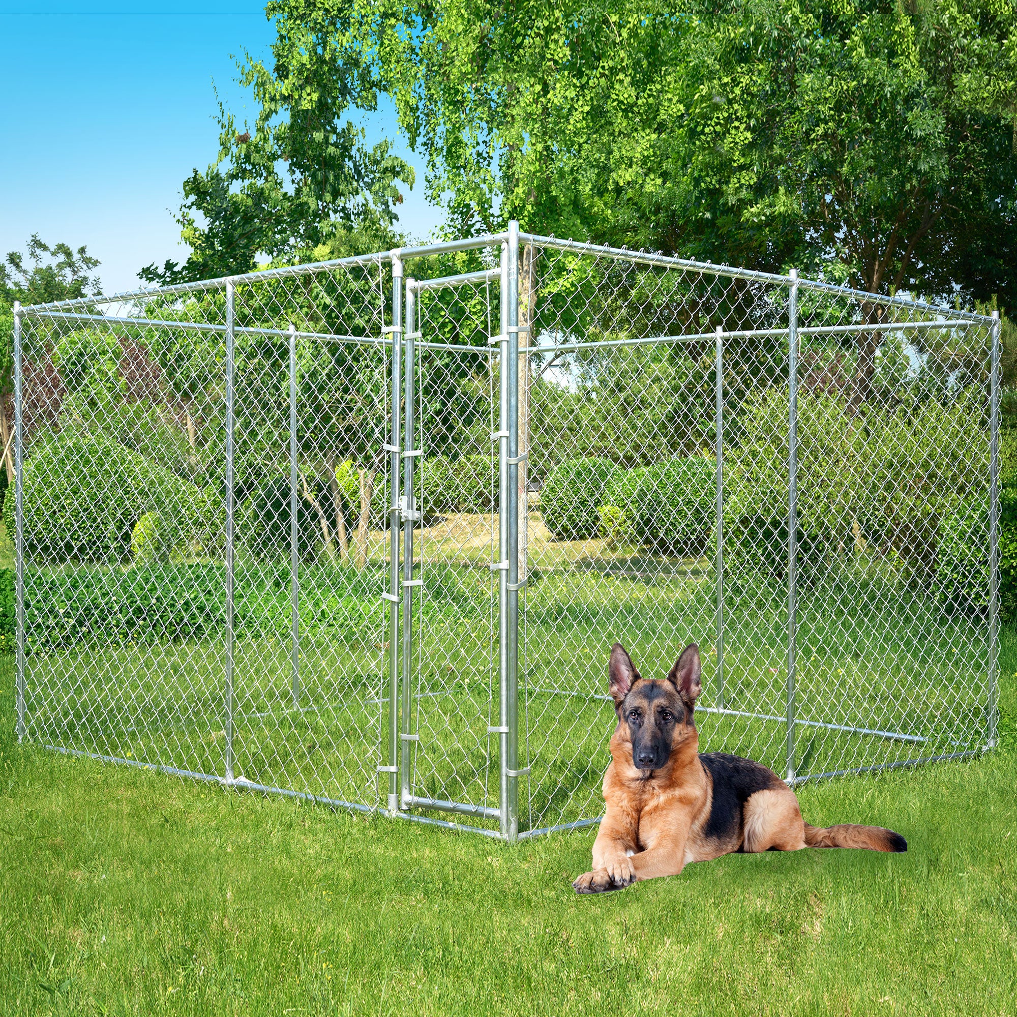 Outside dog fence best sale