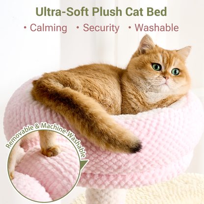 Modern Cat Tree Tower with Scratching Post for Indoor Cats, 50.5" Tall Cat Tree with Flower/Fluffy Cat Beds, Acrylic Capsule, Multi-Level Platforms & Interactive Toy, Brown/Pink