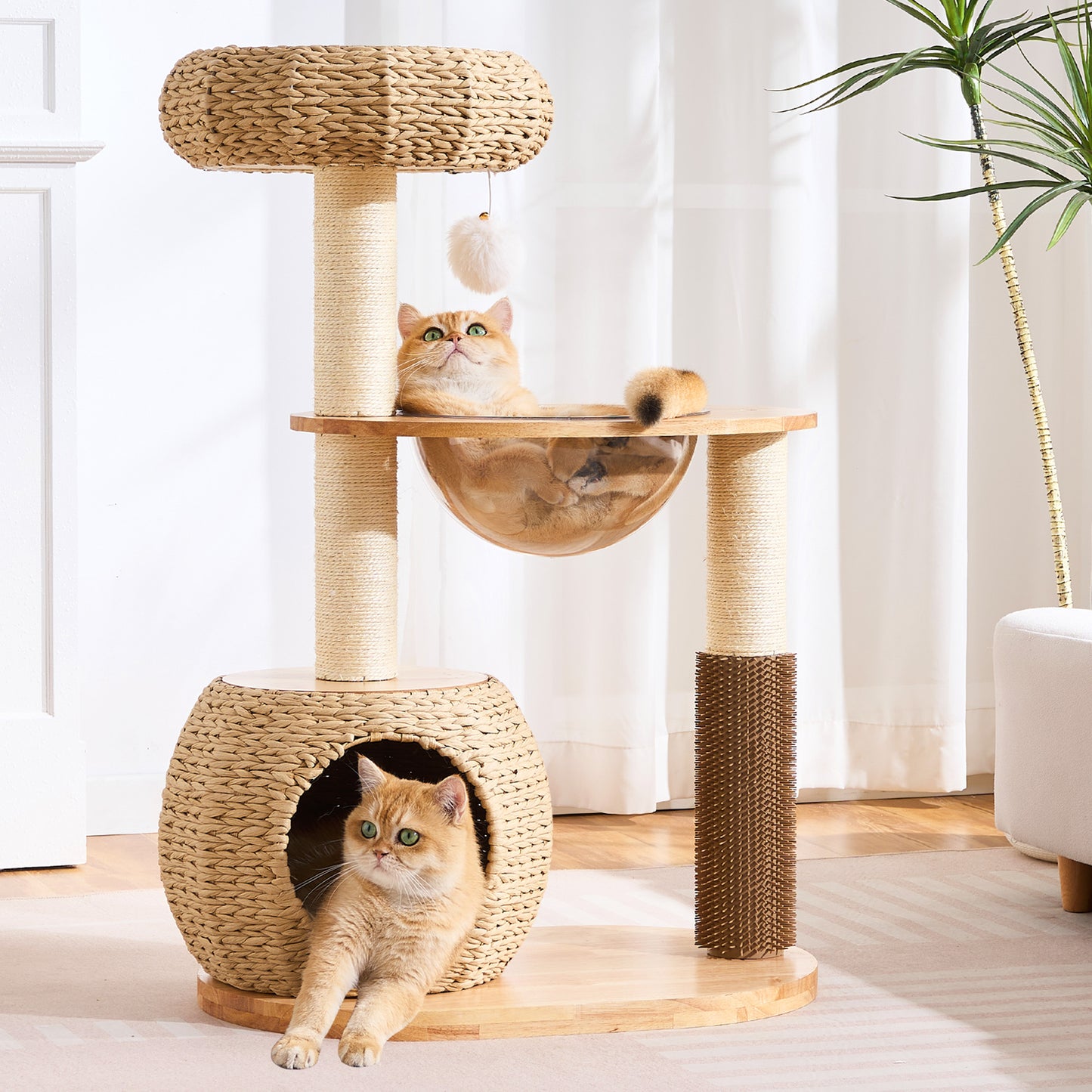 Hittite 38" Modern Cat Tree Tower for Indoor Cats, Solid Wood Cat Furniture with Handwoven Rattan Basket Bed & Cave, Sisal Scratching Posts and Self-Groomer, Space-Saving Cat Condo