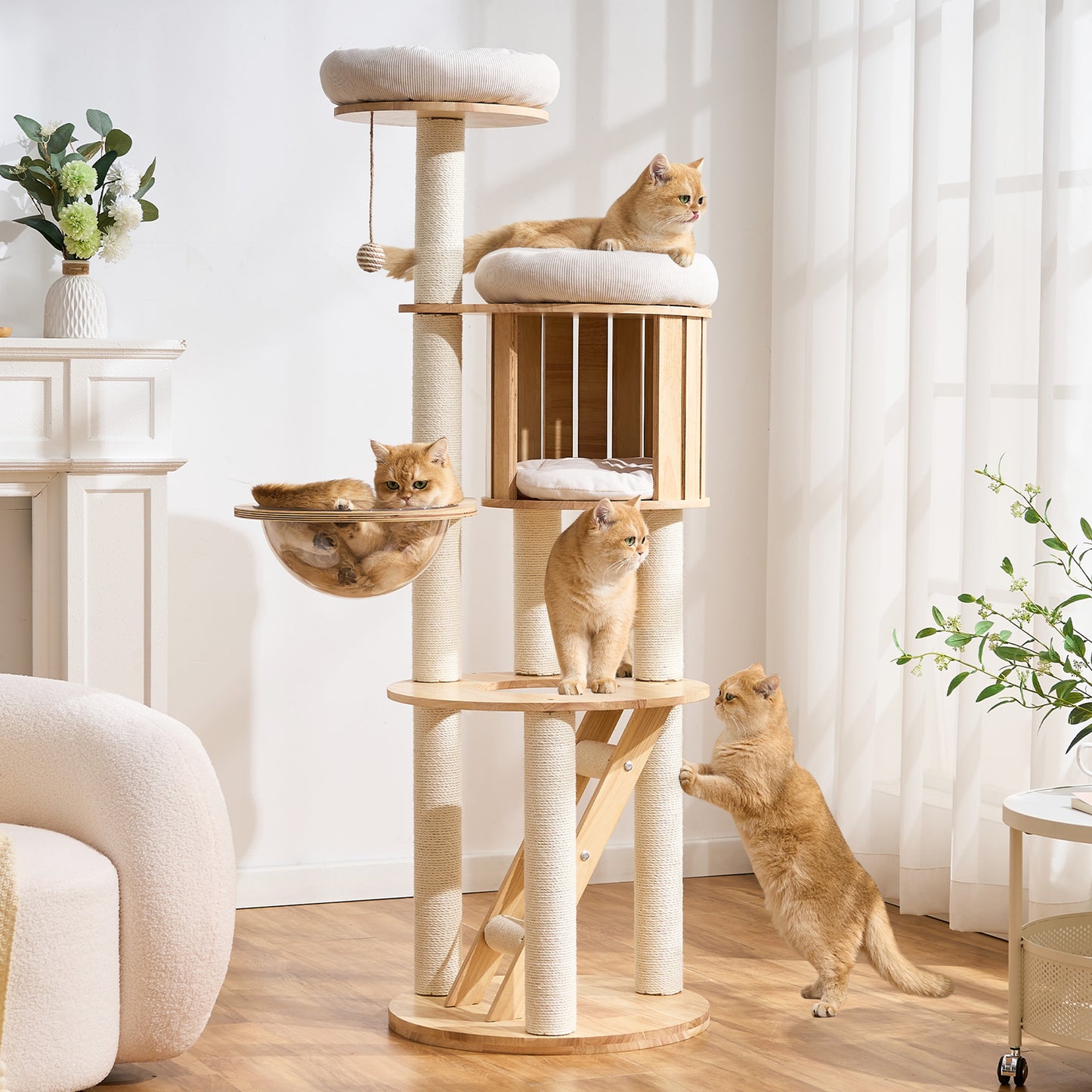 Hittite Modern Cat Tree Tower with Scratching Post, 61.5in Tall Cat Tree for Indoor Cats, Multi-Level Solid Wood Cat Furniture, Cozy Cat Beds, Cat Condo, Capsule Nest, Dangling Toy, Natural