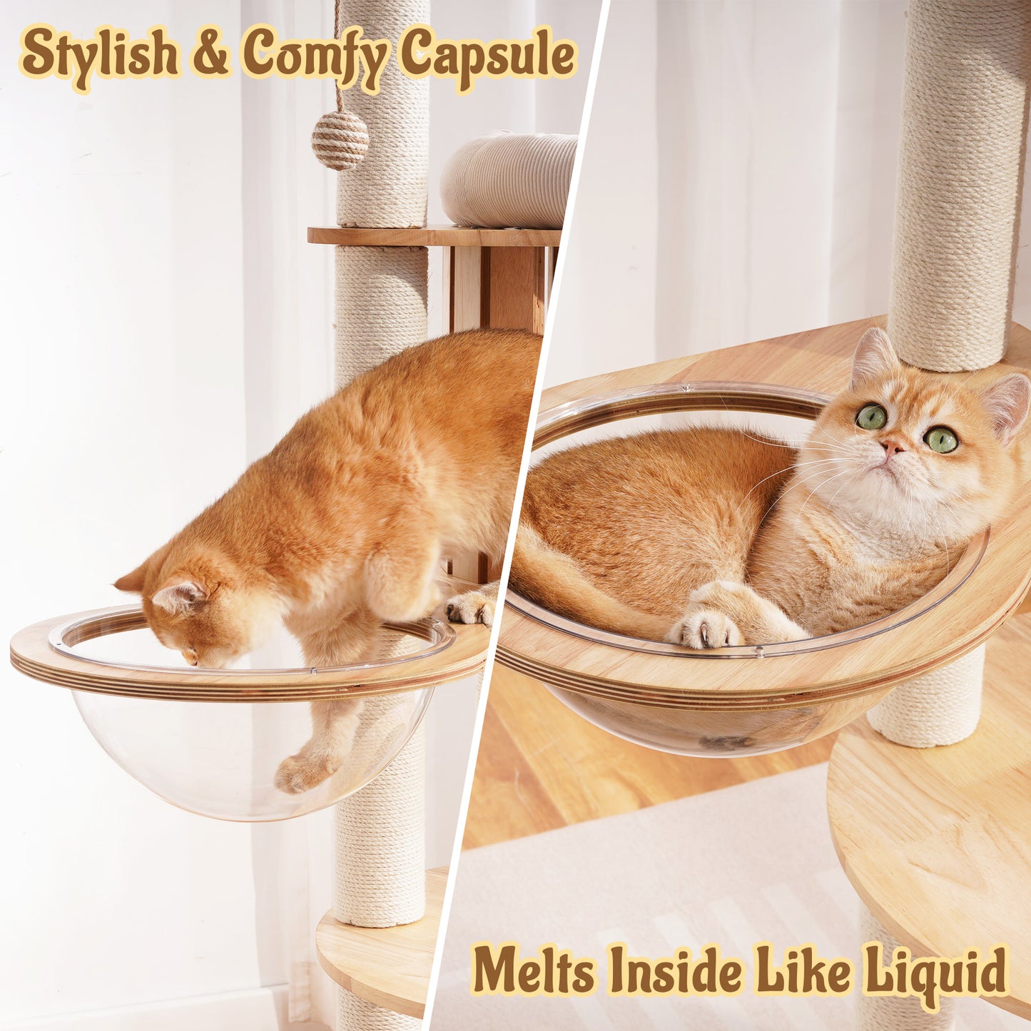 Hittite Modern Cat Tree Tower with Scratching Post, 61.5in Tall Cat Tree for Indoor Cats, Multi-Level Solid Wood Cat Furniture, Cozy Cat Beds, Cat Condo, Capsule Nest, Dangling Toy, Natural
