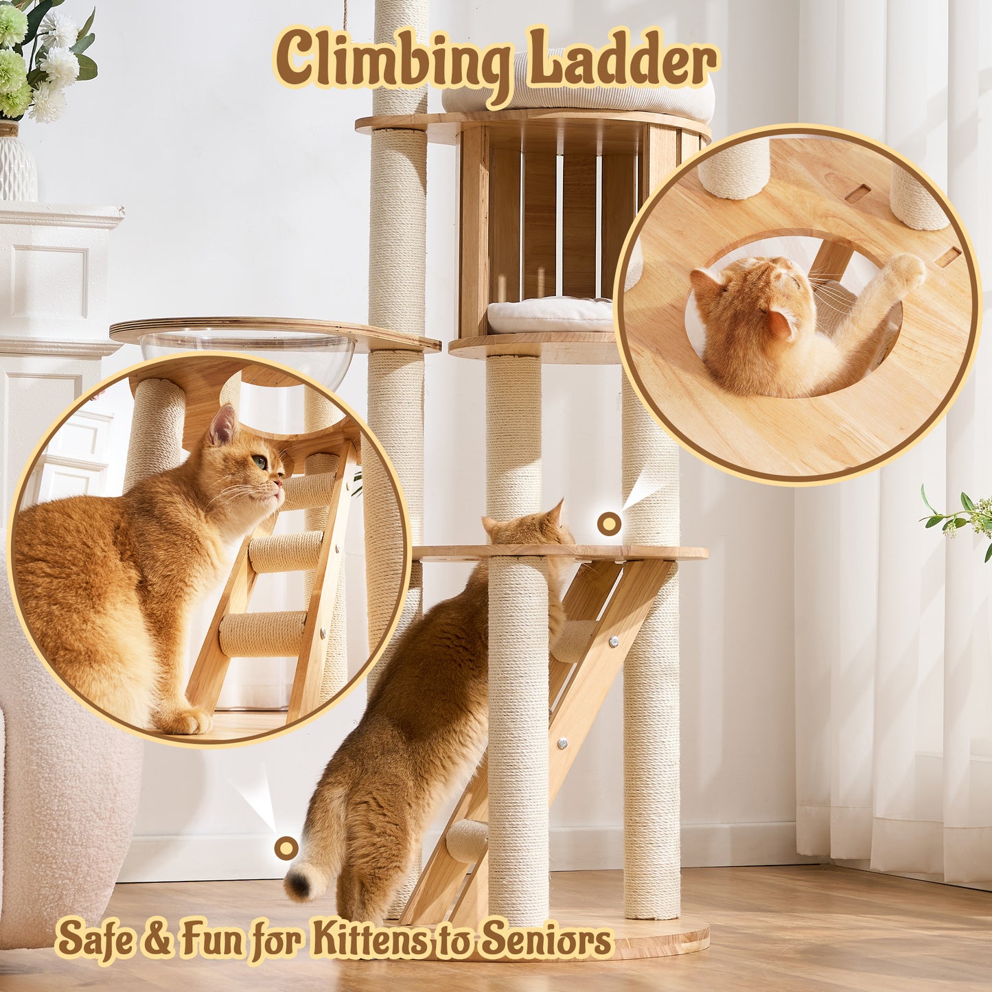 Hittite Modern Cat Tree Tower with Scratching Post, 61.5in Tall Cat Tree for Indoor Cats, Multi-Level Solid Wood Cat Furniture, Cozy Cat Beds, Cat Condo, Capsule Nest, Dangling Toy, Natural