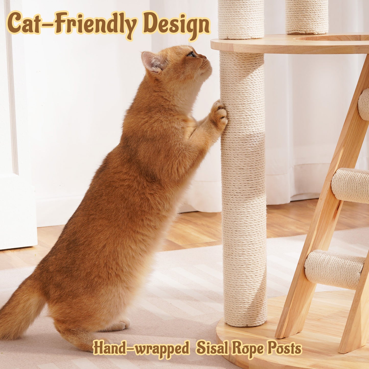 Hittite Modern Cat Tree Tower with Scratching Post, 61.5in Tall Cat Tree for Indoor Cats, Multi-Level Solid Wood Cat Furniture, Cozy Cat Beds, Cat Condo, Capsule Nest, Dangling Toy, Natural