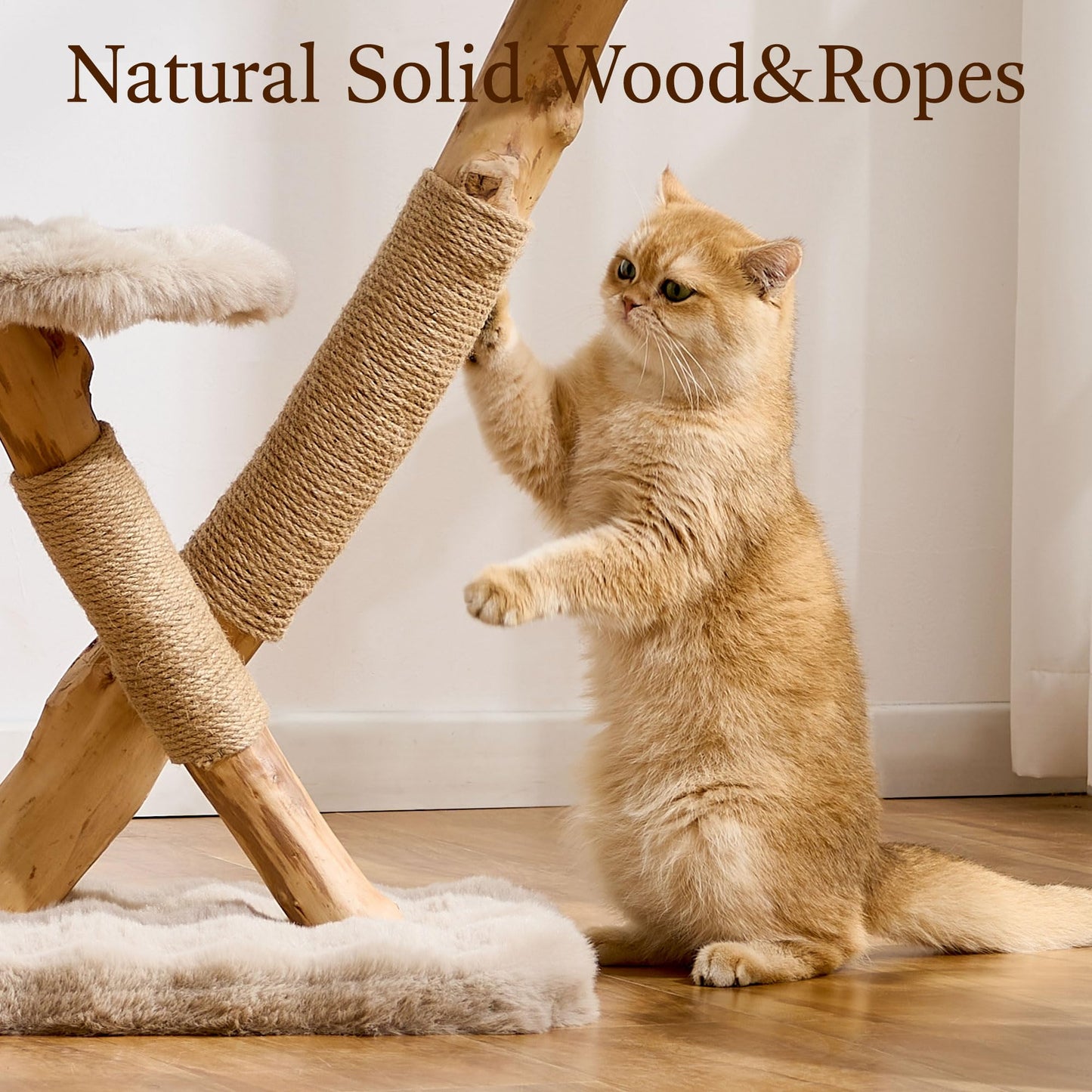 Hittite Natural Wood Cat Tree for Indoor Cats Small to Medium Up to 12lbs, 33in Modern Cat Tree Tower with Super Soft Plush Cat Bed & Perch, Sisal Scratching Posts and Hanging Plush Ball, Soft Khaki