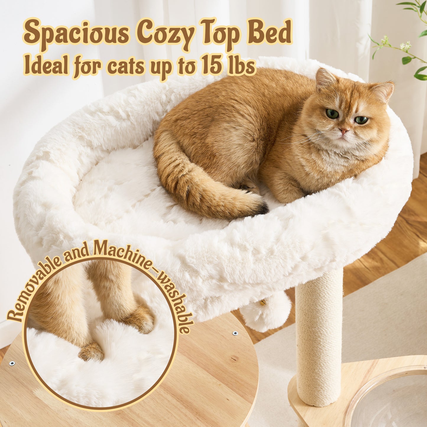 48" Modern Cat Tree for Indoor Cats with Scratching Posts, Multi-Level Wooden Cat Tower with Spacious Top Bed, Condo, Capsule Perch, Furniture-Style Cat Activity Center