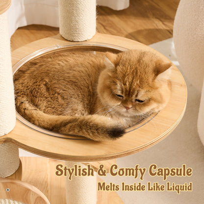 Modern Solid Wood Cat Tree for Indoor Cats Up to 15lbs, 49" Tall Cat Tower with Scratching Posts & Scratcher, Large Cat Bed, Hammock, Capsule Nest, Dangling Ball, Multi-Level Cat Furniture