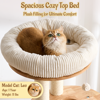 68" Tall Modern Wooden Cat Tree for Large Indoor Cats, Multi-Level Cat Tower with Sisal Scratching Posts, Spacious Top Perch, Condo & Capsule Bed, Turntable Toys, Stable Solid Wood Cat Furniture