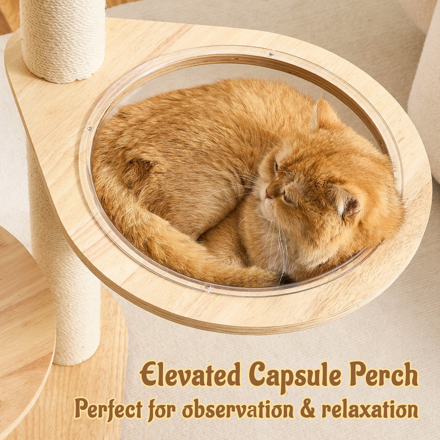 48" Modern Cat Tree for Indoor Cats with Scratching Posts, Multi-Level Wooden Cat Tower with Spacious Top Bed, Condo, Capsule Perch, Furniture-Style Cat Activity Center