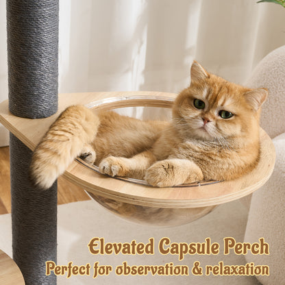 48" Modern Cat Tree for Indoor Cats with Scratching Posts, Multi-Level Wooden Cat Tower with Spacious Top Bed, Condo, Capsule Perch, Furniture-Style Cat Activity Center