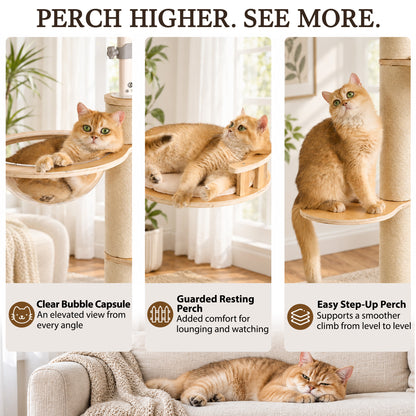 Floor to Ceiling Cat Tree, Adjustable 7.9–9.9 ft Tension Cat Tower, Modern Multi-Level Cat Tree with Thick Sisal Posts, Hidden Caves, Capsule & Perches, No Drilling
