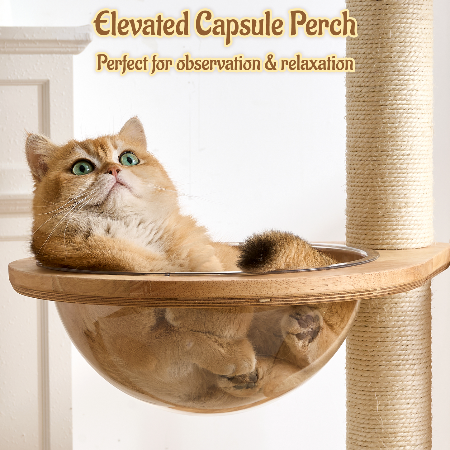 68" Tall Modern Wooden Cat Tree for Large Indoor Cats, Multi-Level Cat Tower with Sisal Scratching Posts, Spacious Top Perch, Condo & Capsule Bed, Turntable Toys, Stable Solid Wood Cat Furniture