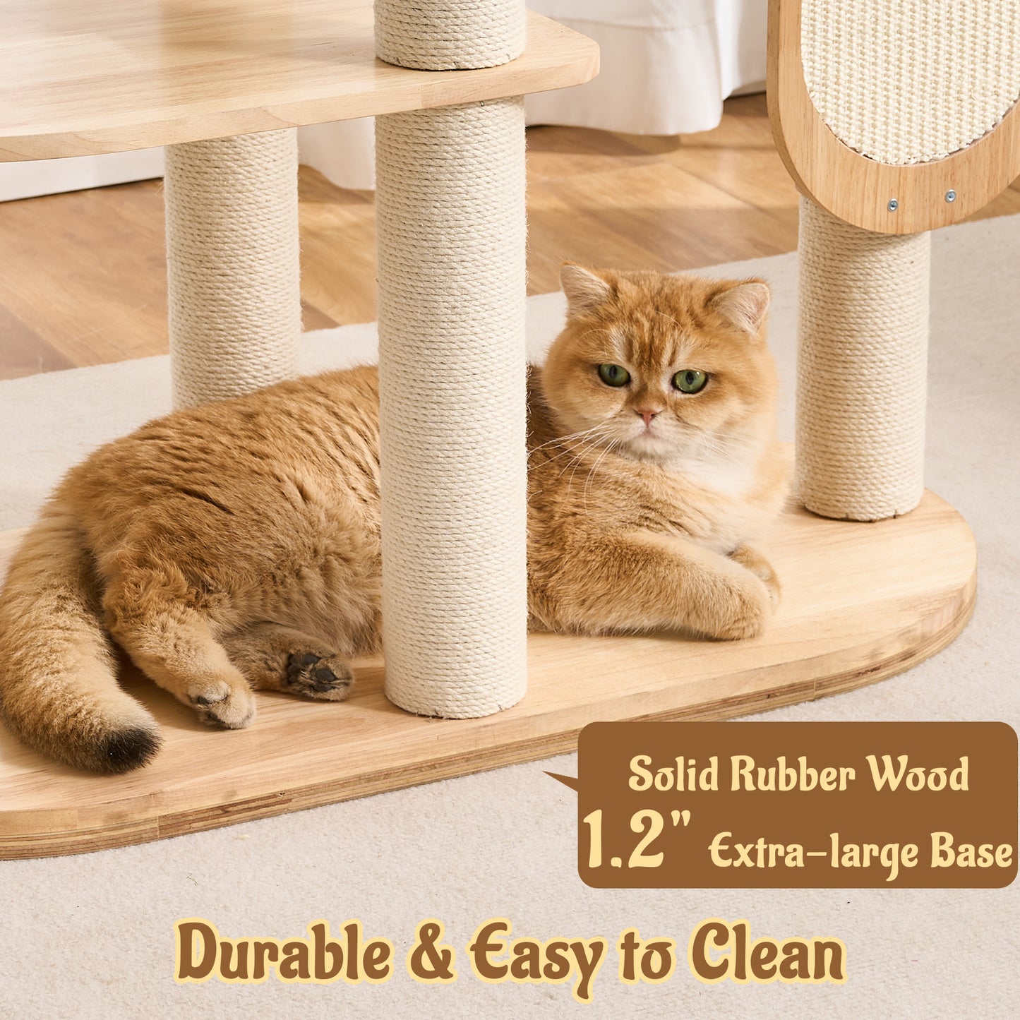 Modern Solid Wood Cat Tree for Indoor Cats Up to 15lbs, 60" Tall & Wide Cat Tower with Scratching Posts, Scratcher & Self-Grooming, Large Cat Beds, Capsule Nest, Multi-Level Cat Furniture
