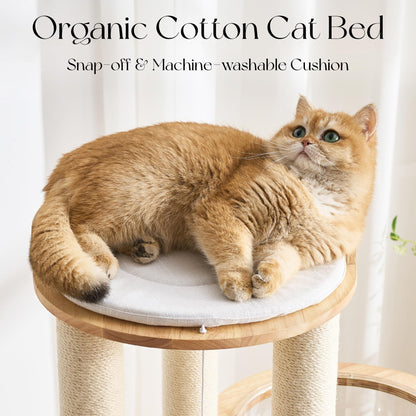 Hittite Modern Solid Wood Cat Tree Tower, 54" Tall Cat Tree with Scratching Posts, Capsule&Hammock, Luxury Natural Oak Wood Cat Tower, Aesthetic Multi-Level Cat Climbing Tree for Large Indoor Cats